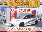 究極のドレスアップ日産リーフ改造カスタムコンプリートカー「ZESPO」号＠NPO法人エコ・レボリューション